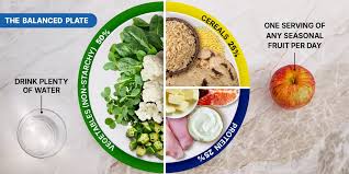 High-Protein Meal Plan for Busy People: Simple, Effective, and Science-Backed